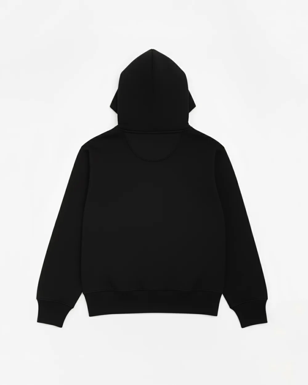 Alternative view of Living The Way Hoodie